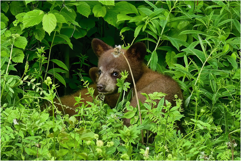 Keep Me Safe by Marlene Smith